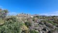 Kreta, Stavros: Riesiges Grundstück in Strandnähe zu verkaufen