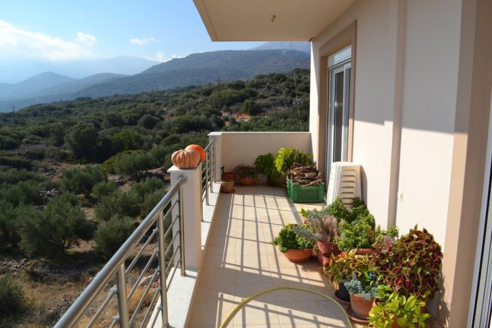 Kreta, Exo Lakonia: Einfamilienhaus auf großem Privatgrundstück zu verkaufen