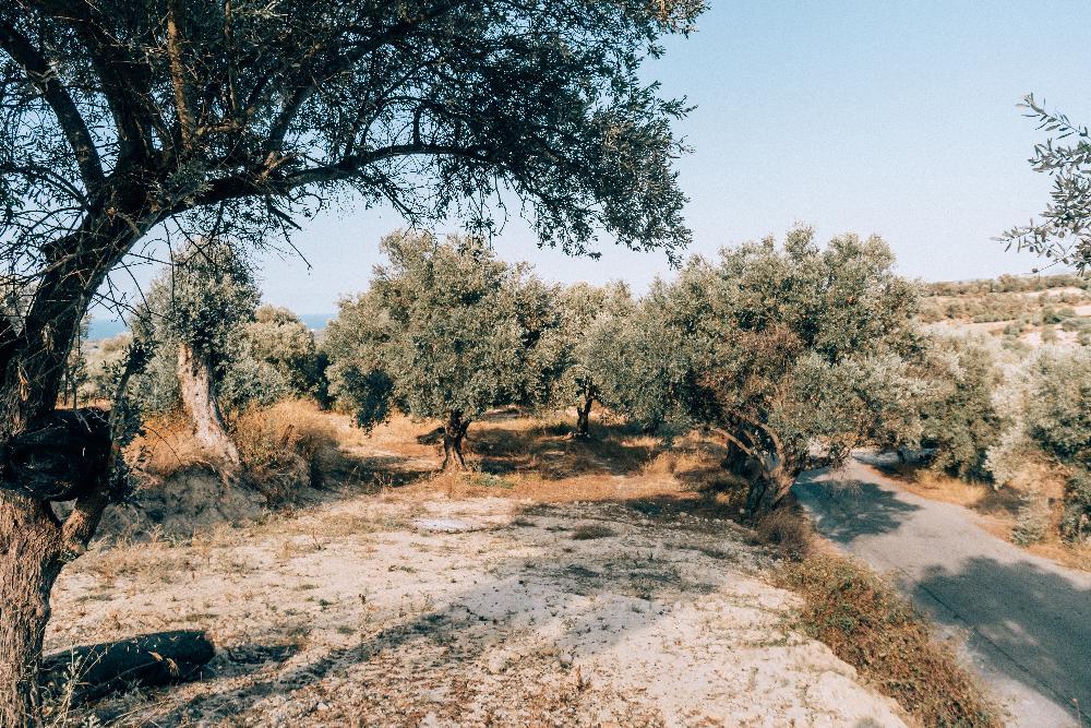 Kreta, Ag. Triada Rethymno: Neubau-Projekt! Moderne Villa zu verkaufen