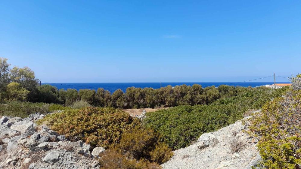 Kréta, Stavros: Saroktelek tengerre néző kilátással eladó