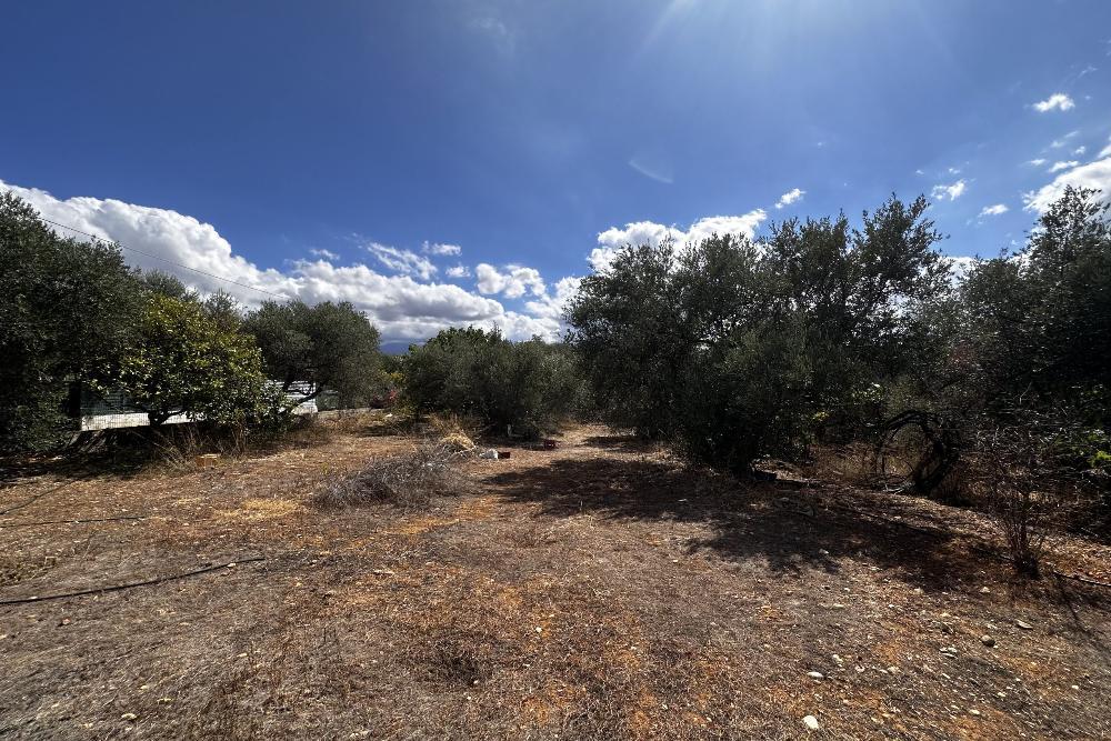 Kreta, Vamvakopoulo: Flaches Grundstück mit 150 m² bebaubarer Fläche in erstklassiger Lage