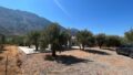Rohbau in einem schönen Olivenhain auf Kreta zum Verkauf