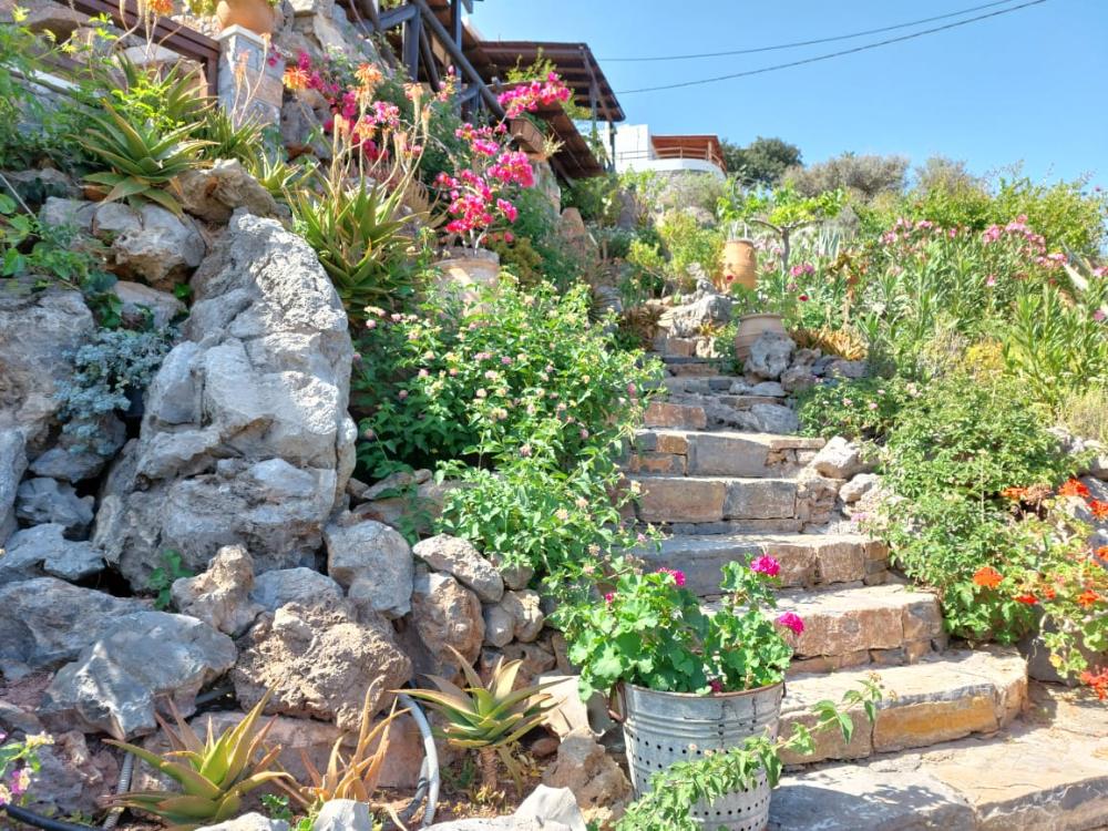 Ostkreta, Kato Zakros: Schöne Apartments mit Meerblick zu verkaufen