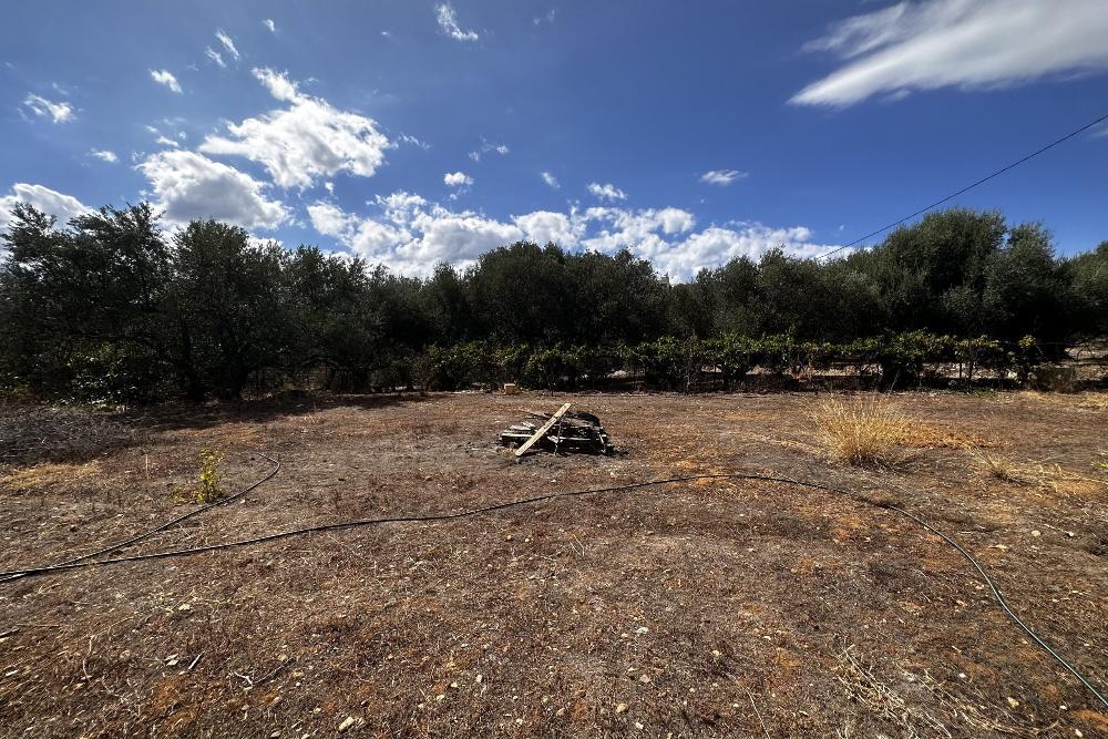 Kreta, Vamvakopoulo: Flaches Grundstück mit 150 m² bebaubarer Fläche in erstklassiger Lage