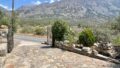 Kreta, Kavousi: Freistehendes Haus in Olivenhain zu verkaufen