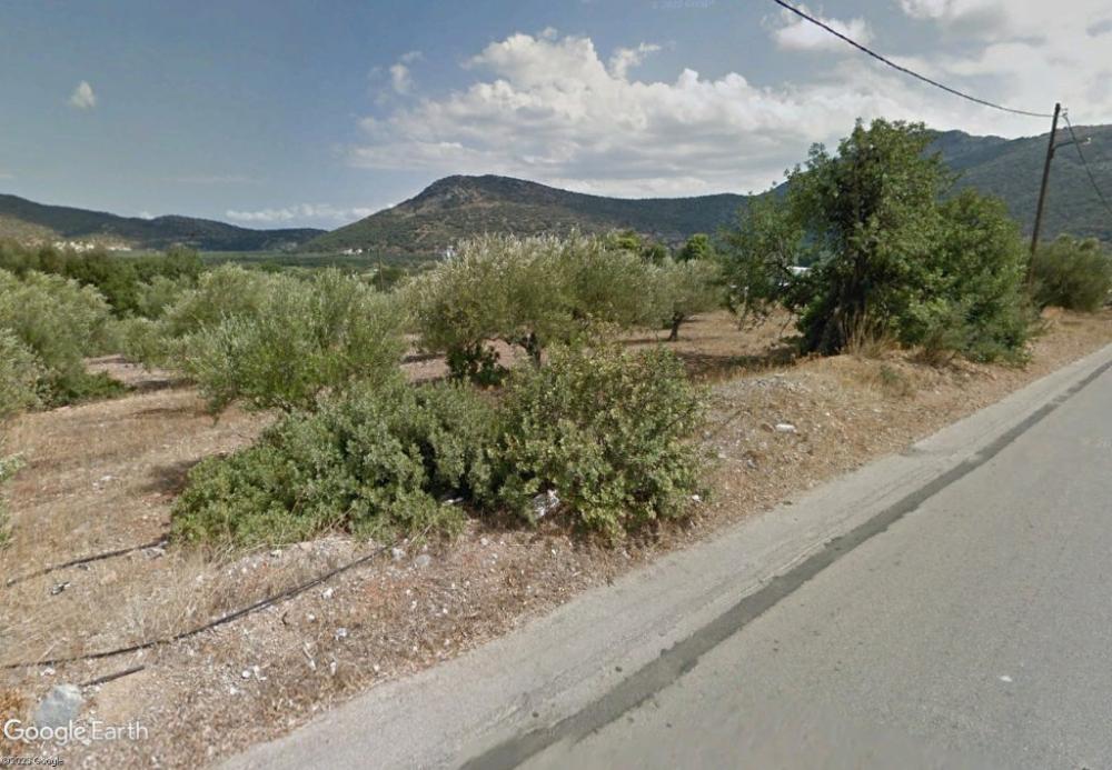 Kreta, Exo Lakonia: 4 ländliche Baugrundstücke nahe Agios Nikolaos zu verkaufen