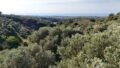 Kreta, Kirianna: Neubau-Projekt! Villa mit Pool und Meerblick in kleiner Anlage zu verkaufen