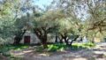 East Crete, Pappagiannades: บ้านอยู่อาศัยพร้อมต้นมะกอกและวิวภูเขาสำหรับขาย