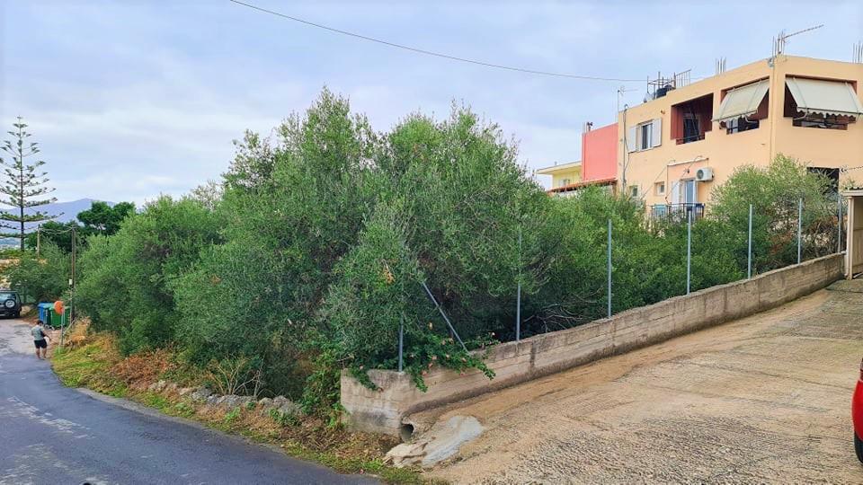 Kreta, Kounoupidiana: Grundstück in begehrter Lage zu verkaufen
