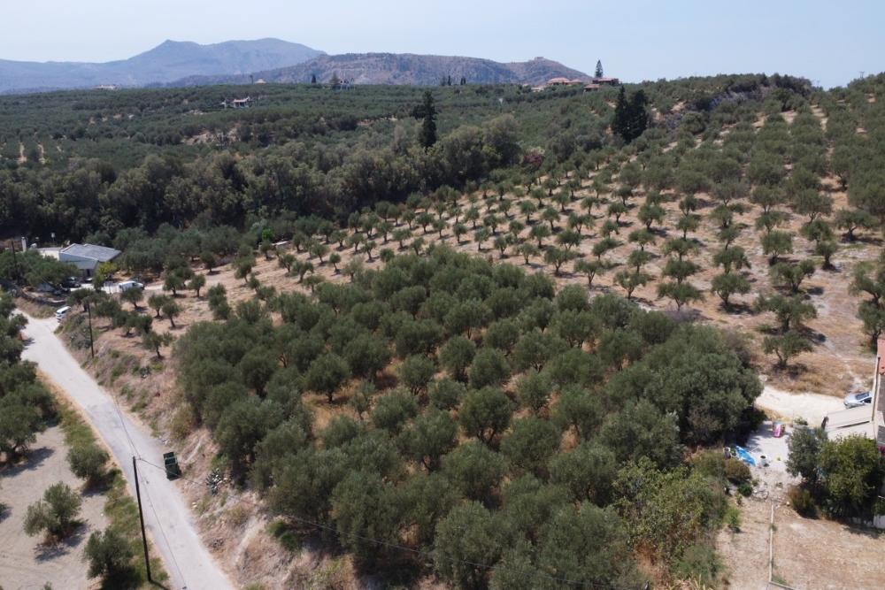 Kréta, Kalyves: Tágas telek tengerre néző kilátással eladó