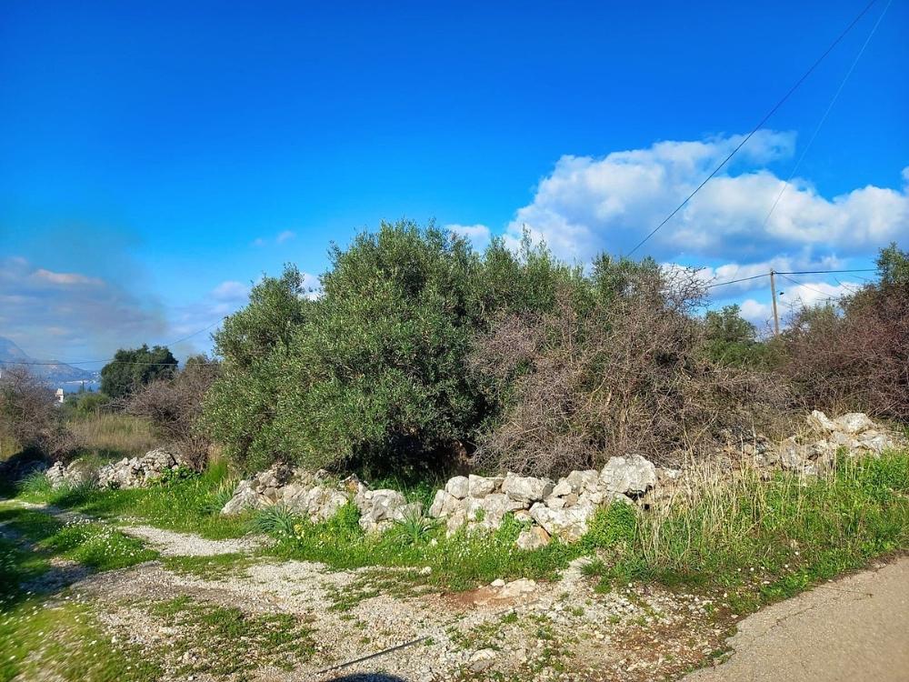 Kreta, Kampia: Grundstück mit Meerblick in der Nähe des Dorfzentrums zu verkaufen