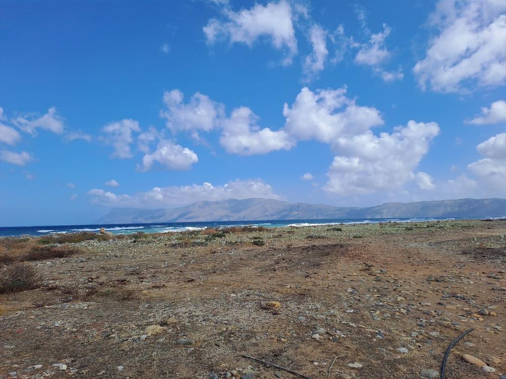 Kreta, Kissamos: Großes Grundstück direkt am Meer zu verkaufen