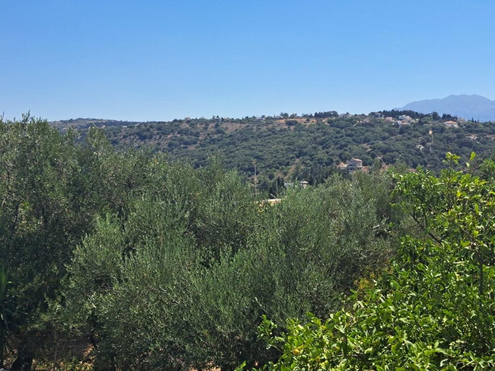 Kréta, Douliana: Felújított kőház medencével és kerttel eladó