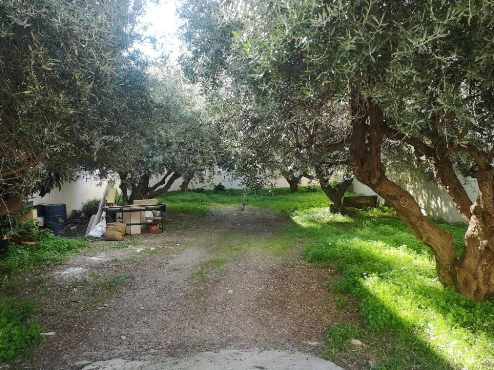 Kreta, Agios Nikolaos: Baugrundstück innerhalb des Stadtplans zu verkaufen