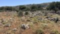 Kreta, Kokkino Chorio: Meerblick-Grundstück mit Baugenehmigung zu verkaufen