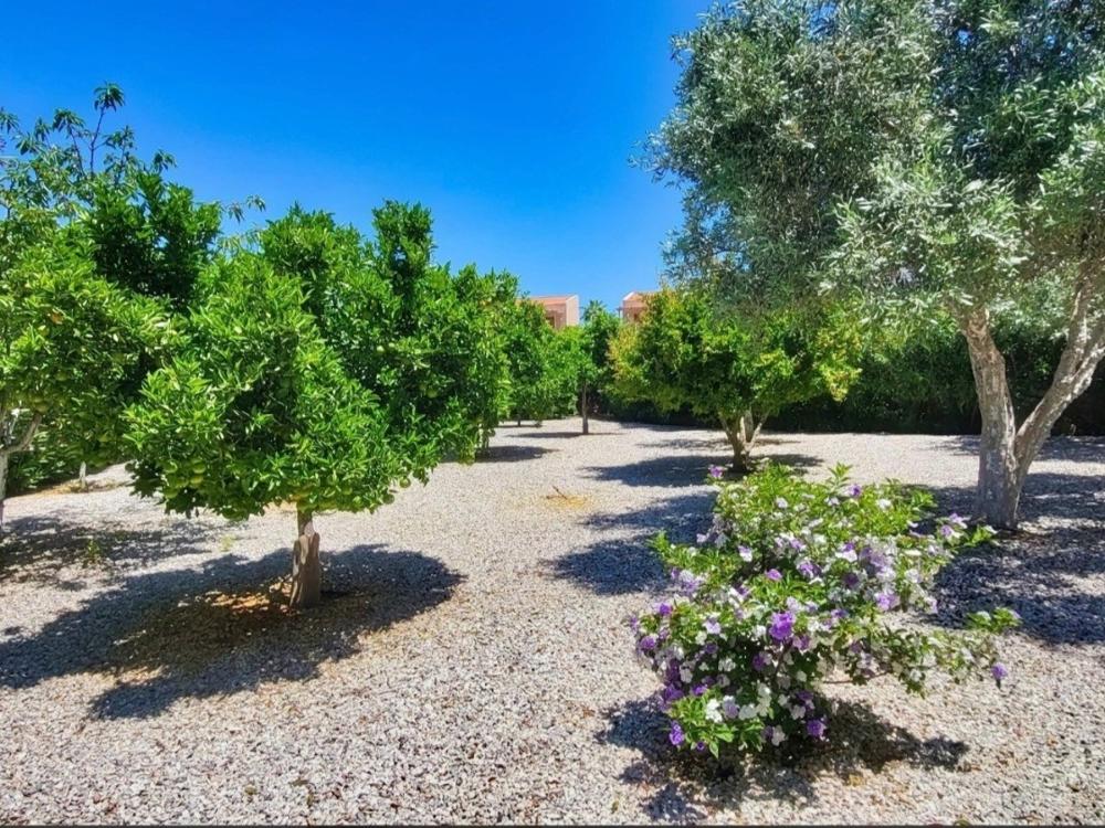 Kreta, Kokkino Chorio: Exquisite Villa mit Meerblick und üppigen Gärten zu verkaufen