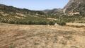 Kreta, Spili: Kleines Haus auf riesigem Grundstück zu verkaufen
