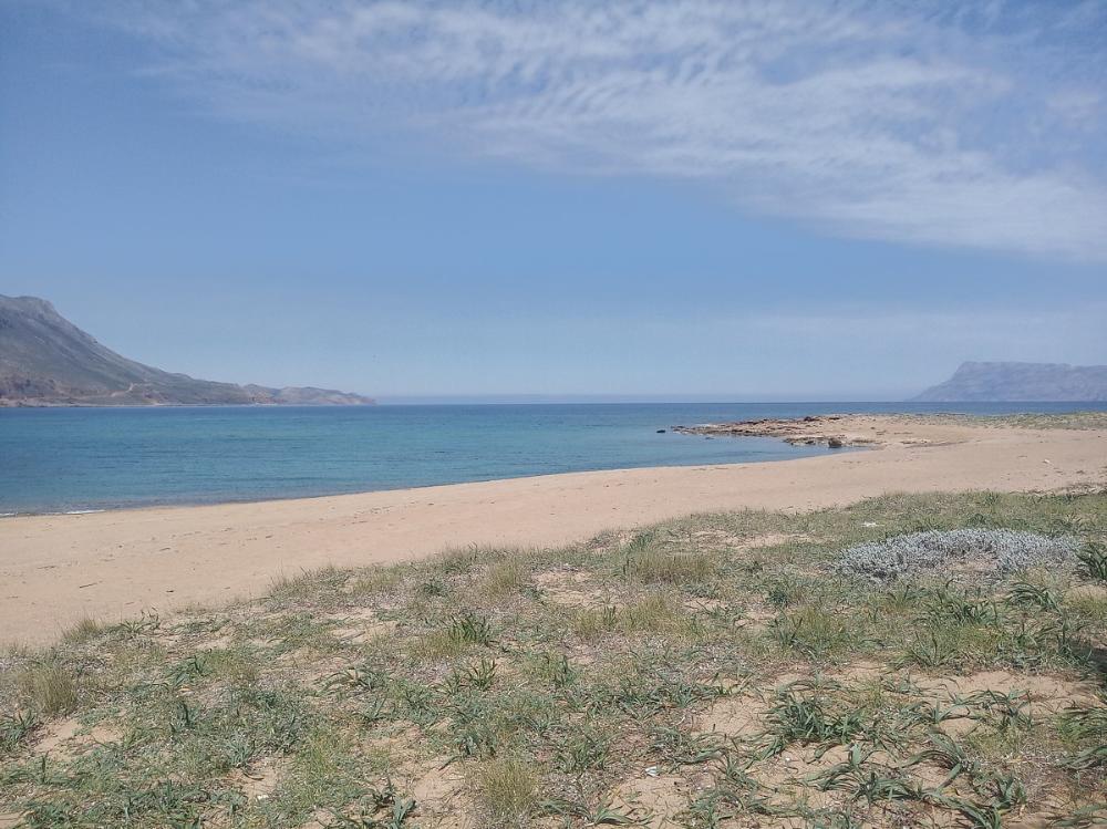Kreta, Trachilos: Riesiges Grundstück direkt am Meer zu verkaufen