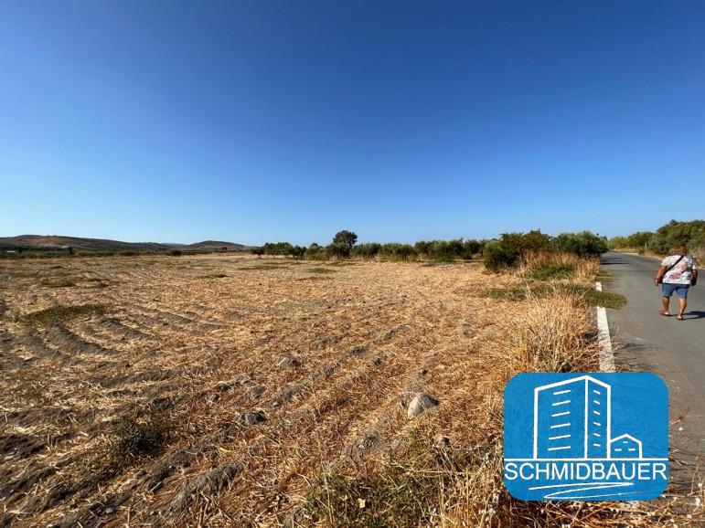 Kreta, Afrathias: Erstaunliches Grundstück in der Küstenregion zu verkaufen