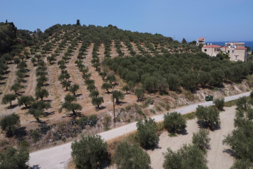 Kréta, Kalyves: Tágas telek tengerre néző kilátással eladó