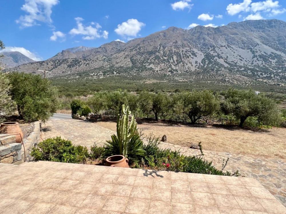 Kreta, Kavousi: Freistehendes Haus in Olivenhain zu verkaufen