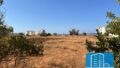 Kreta, Kokkino Pirgos: Grundstück direkt am Meer mit großem Potenzial zu verkaufen