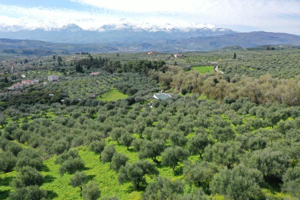 Kréta, Kalyves: Tágas telek tengerre néző kilátással eladó