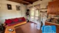 Kreta, Alithini: Ferienhaus inmitten eines Olivenhains zu verkaufen