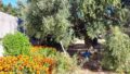 East Crete, Pappagiannades: บ้านอยู่อาศัยพร้อมต้นมะกอกและวิวภูเขาสำหรับขาย