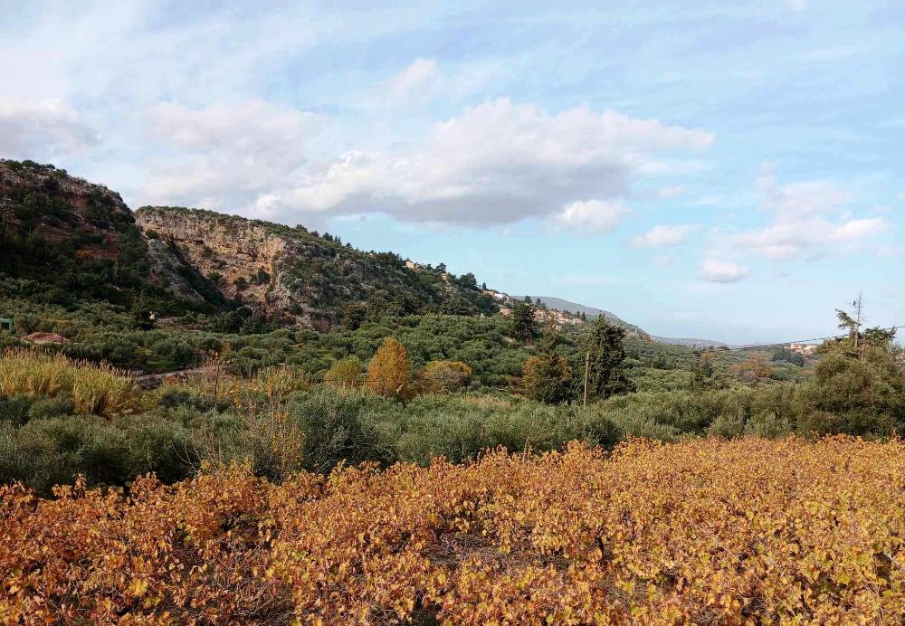 Kreta, Pemonia: Grundstück innerhalb der Siedlung zu verkaufen