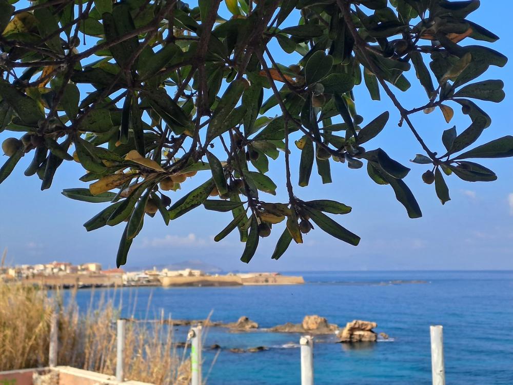 Kreta, Chania Zentrum: Apartment am Meer im Herzen der Stadt zu verkaufen