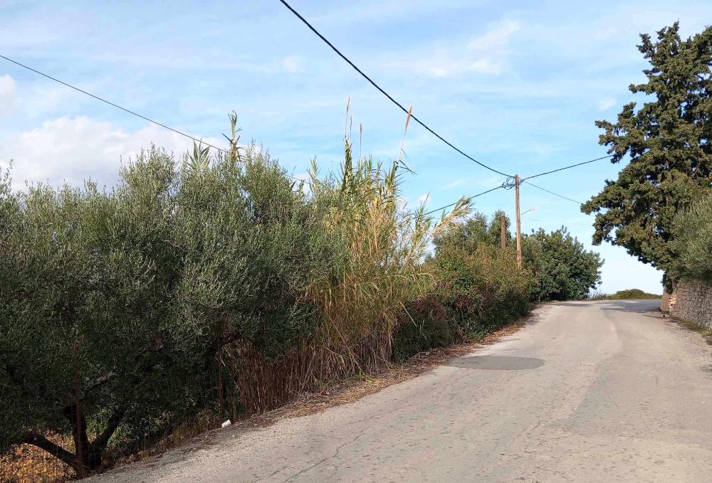 Kreta, Pemonia: Grundstück innerhalb der Siedlung zu verkaufen