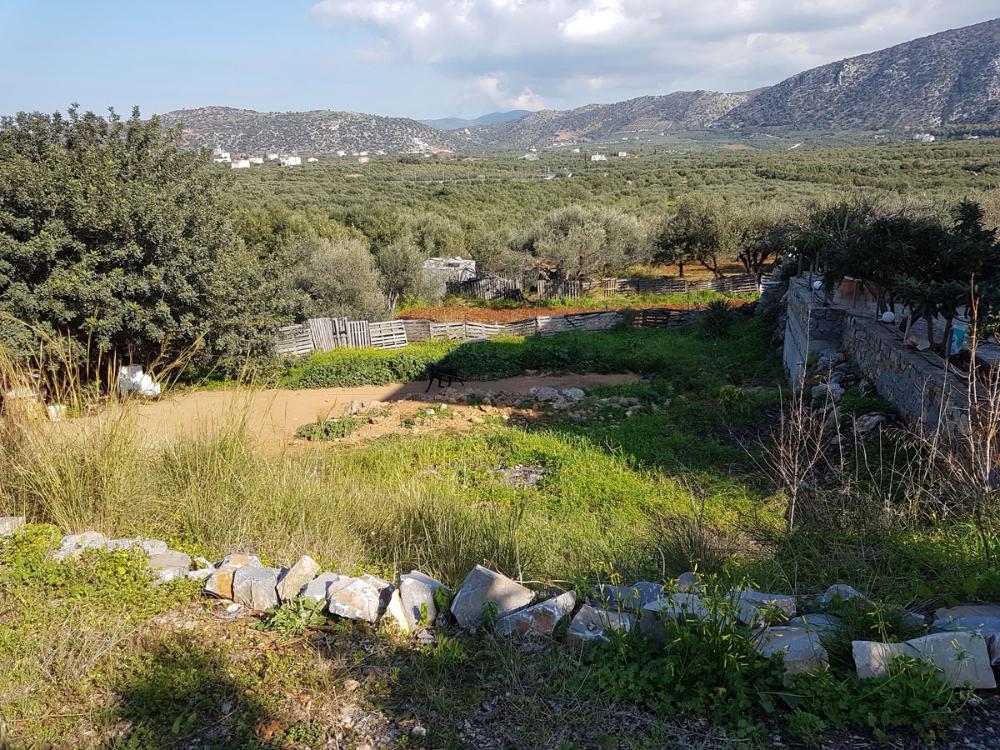Kreta, Sisi: Baugrundstück etwas außerhalb des Dorfes zu verkaufen