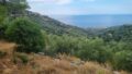 Kreta, Mochlos: Erhöhtes Baugrundstück mit Meerblick in Sfaka zu verkaufen