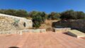 East Crete, Pappagiannades: บ้านหินแบบดั้งเดิมพร้อมสวนขนาดใหญ่เต็มไปด้วยต้นมะกอกสำหรับขาย