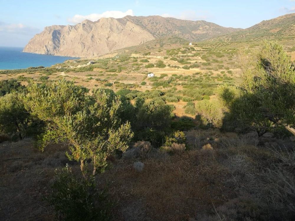 Kreta, Mochlos: Baugrundstück mit Meerblick zum Verkauf