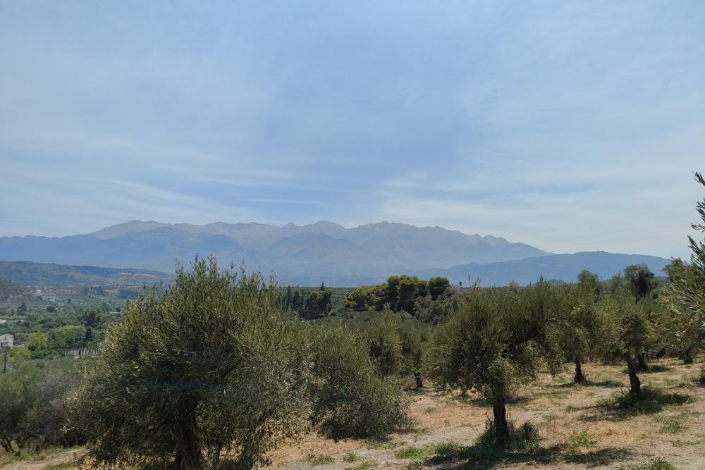 Kréta, Kalyves: Tágas telek tengerre néző kilátással eladó