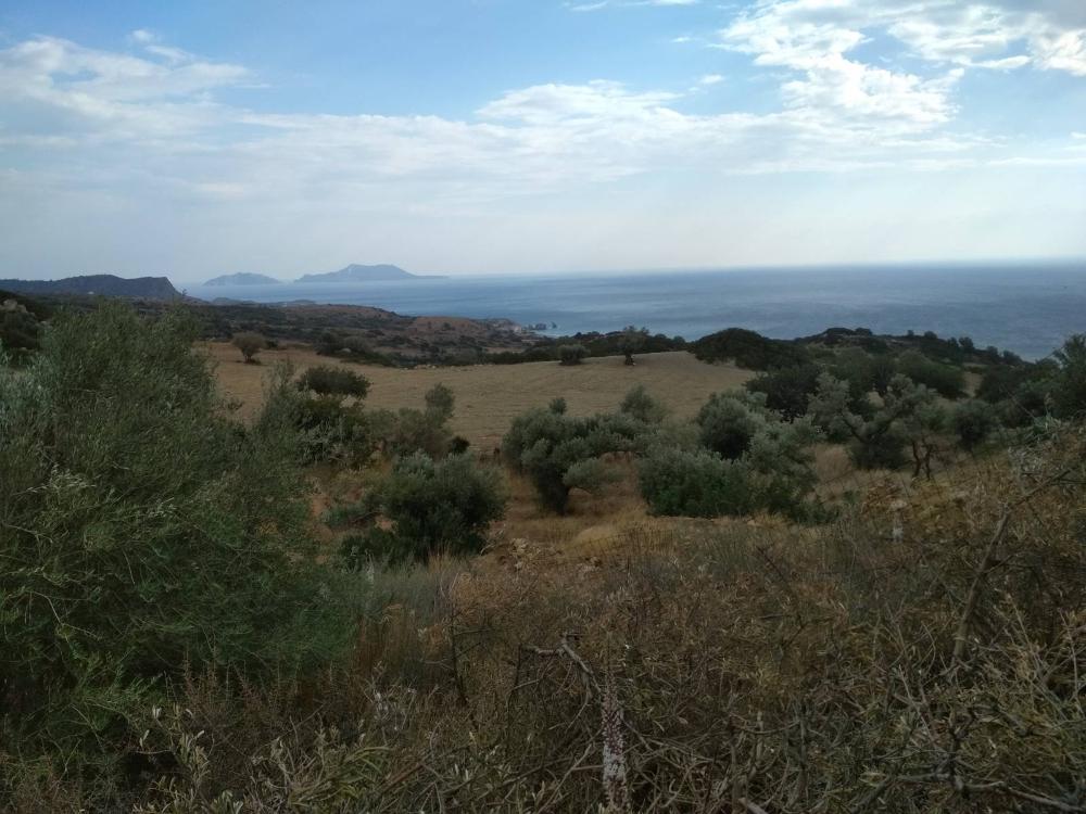 Südkreta, Triopetra: Grundstück mit wunderschönem Meerblick zu verkaufen
