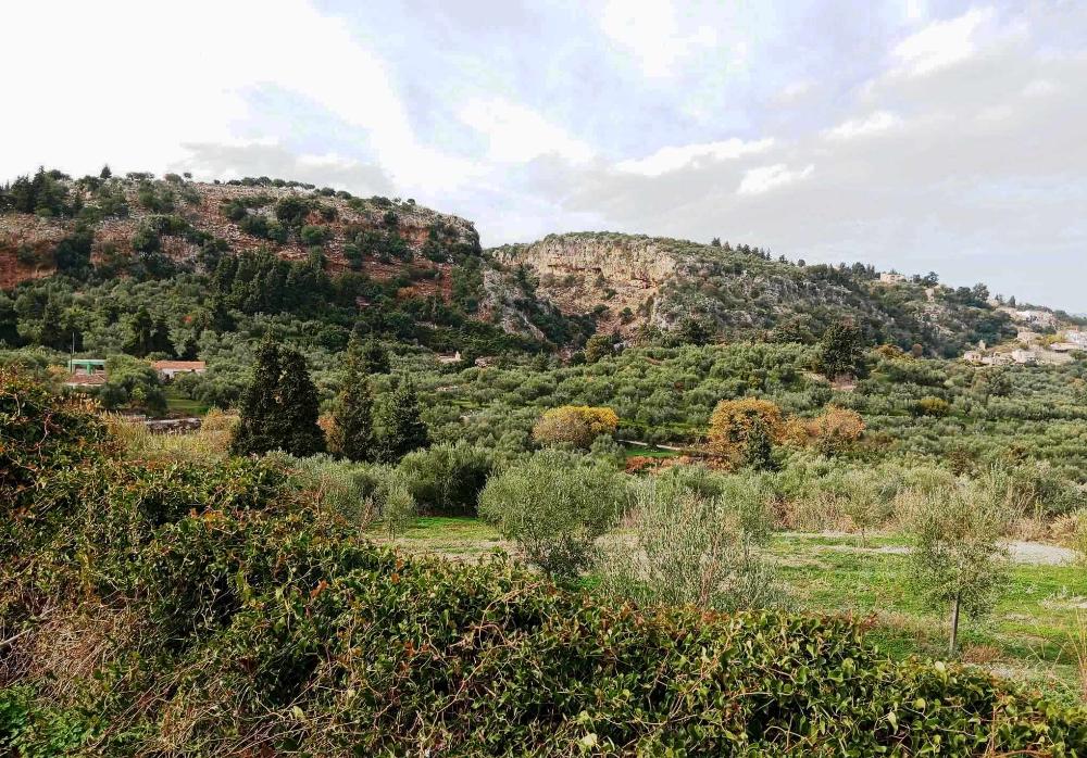 Kreta, Pemonia: Grundstück innerhalb der Siedlung zu verkaufen