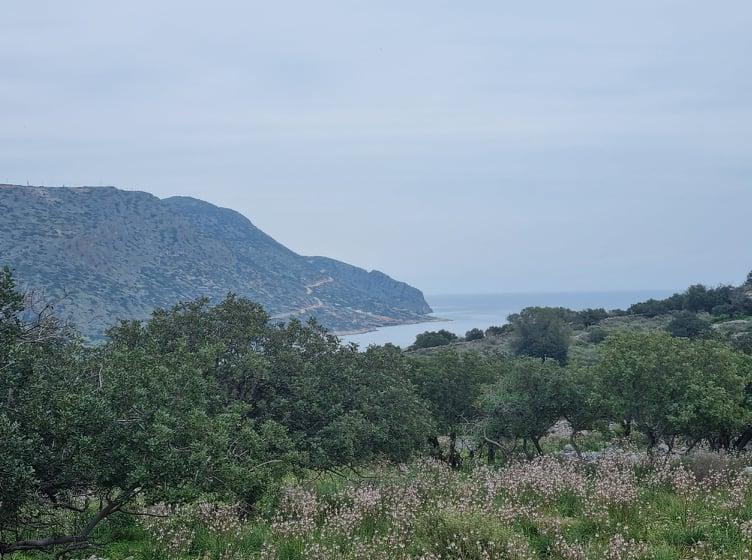 Kreta, Plaka Elounda: Baugrundstück mit Meerblick zum Verkauf