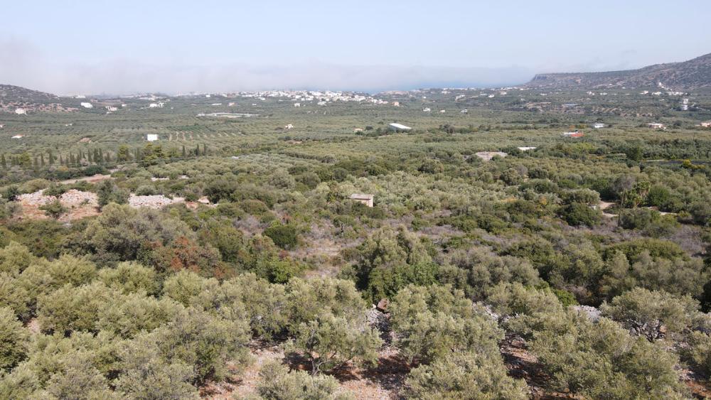 Kreta, Sisi: Schönes Baugrundstück in ruhiger aber aufstrebender Gegend zu verkaufen