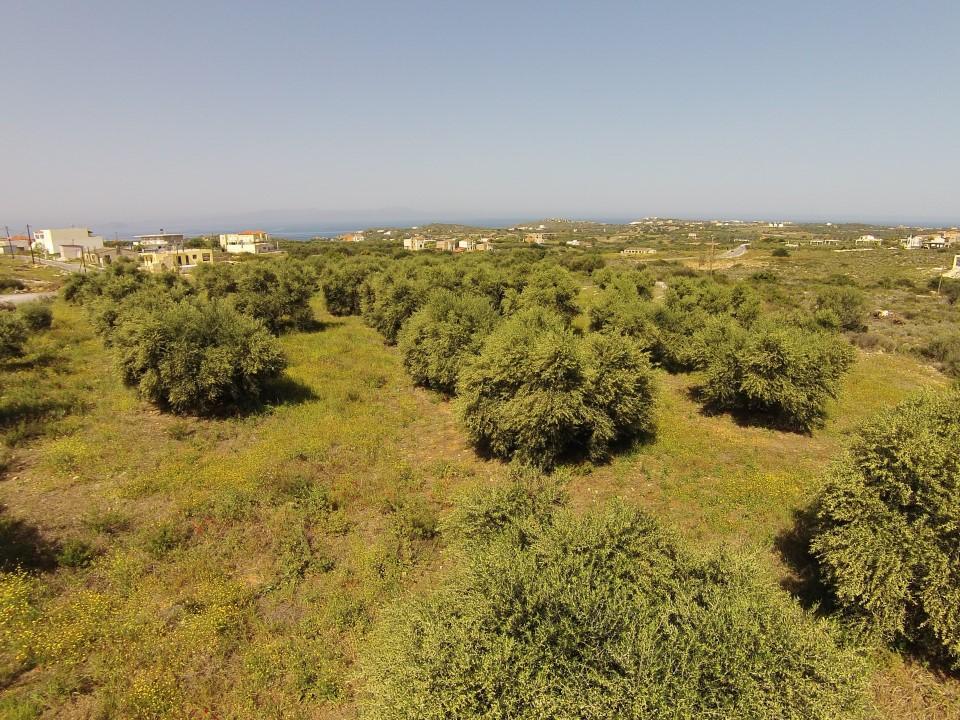 Olivenbäume und Meerblick - in der Nähe von Stränden
