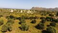 Olivenbäume und Meerblick - in der Nähe von Stränden