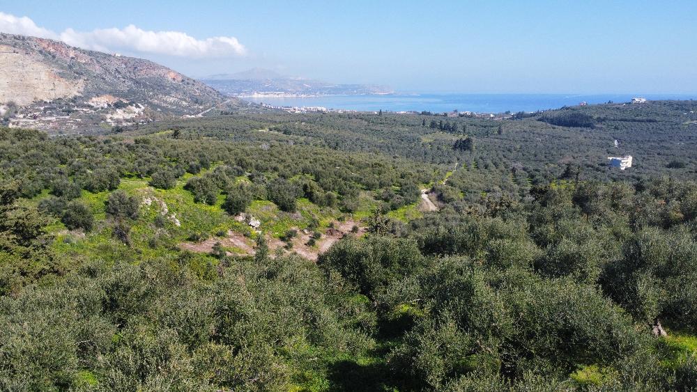 Kreta, Kalyves: Grundstück mit fantastischem Meerblick in Strandnähe zu verkaufen