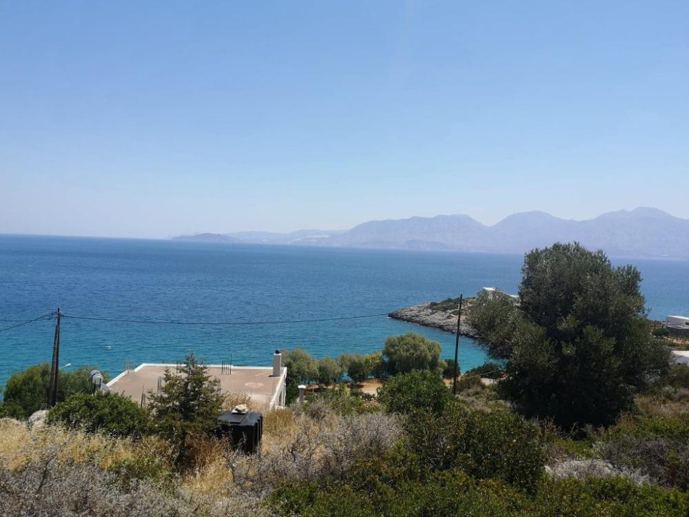 Kreta, Ammoudara: Grundstück in unmittelbarer Meeresnähe bei Agios Nikolaos zu verkaufen