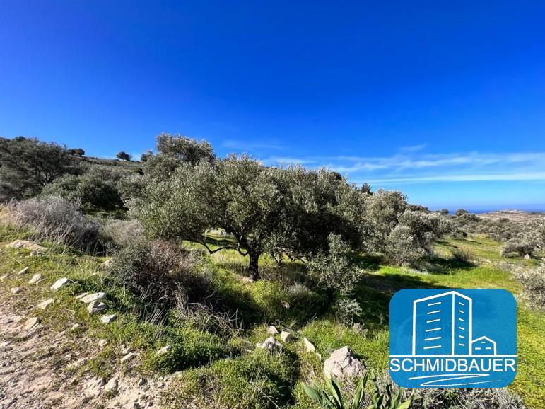Kreta, Kamilari: Grundstück in traumhafter Lage mit Meer- und Bergblick zu verkaufen