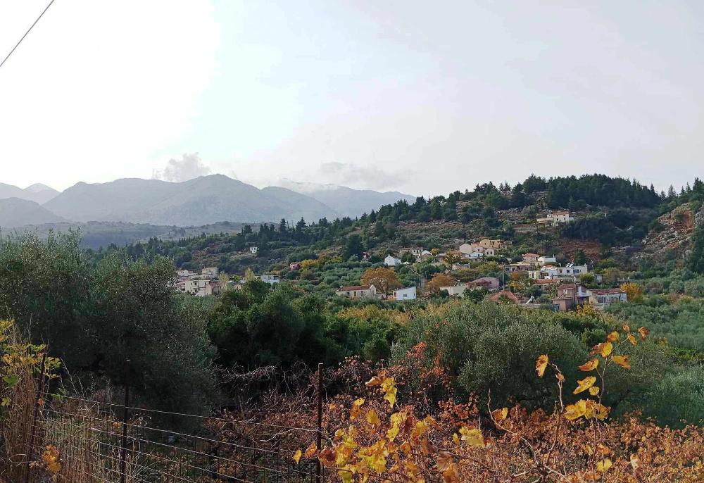 Kreta, Pemonia: Grundstück innerhalb der Siedlung zu verkaufen