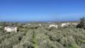 Kreta, Pigi: Geräumiges Haus mit Meerblick zu verkaufen
