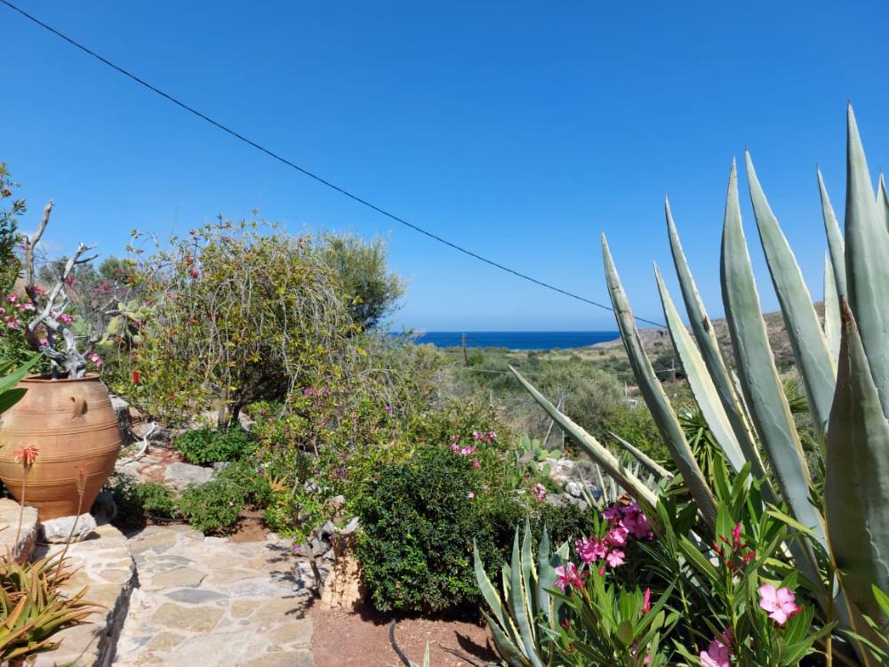 Ostkreta, Kato Zakros: Schöne Apartments mit Meerblick zu verkaufen