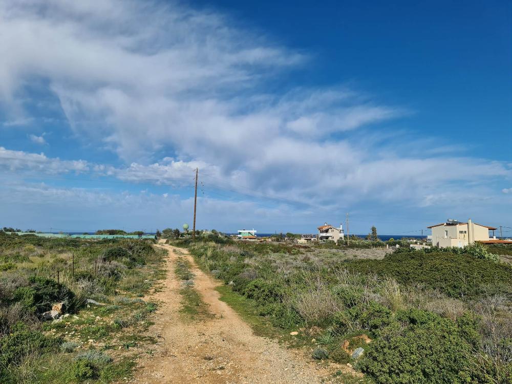 Kreta, Stavros: Riesiges Grundstück in Strandnähe zu verkaufen